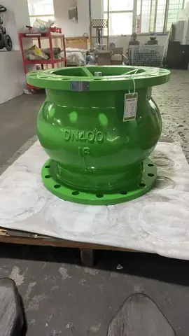 01 / Flanged check valve