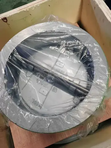 04 / Packaged dual-plate check valve