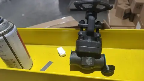 05 / Compact forged gate valve