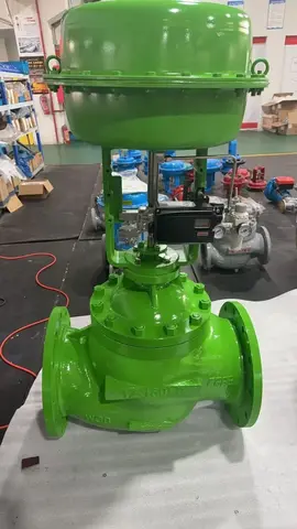 05 / Pneumatic globe valve